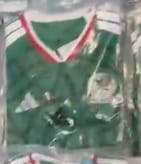 Customer photo review of México 2026 Alternativa Manga Larga