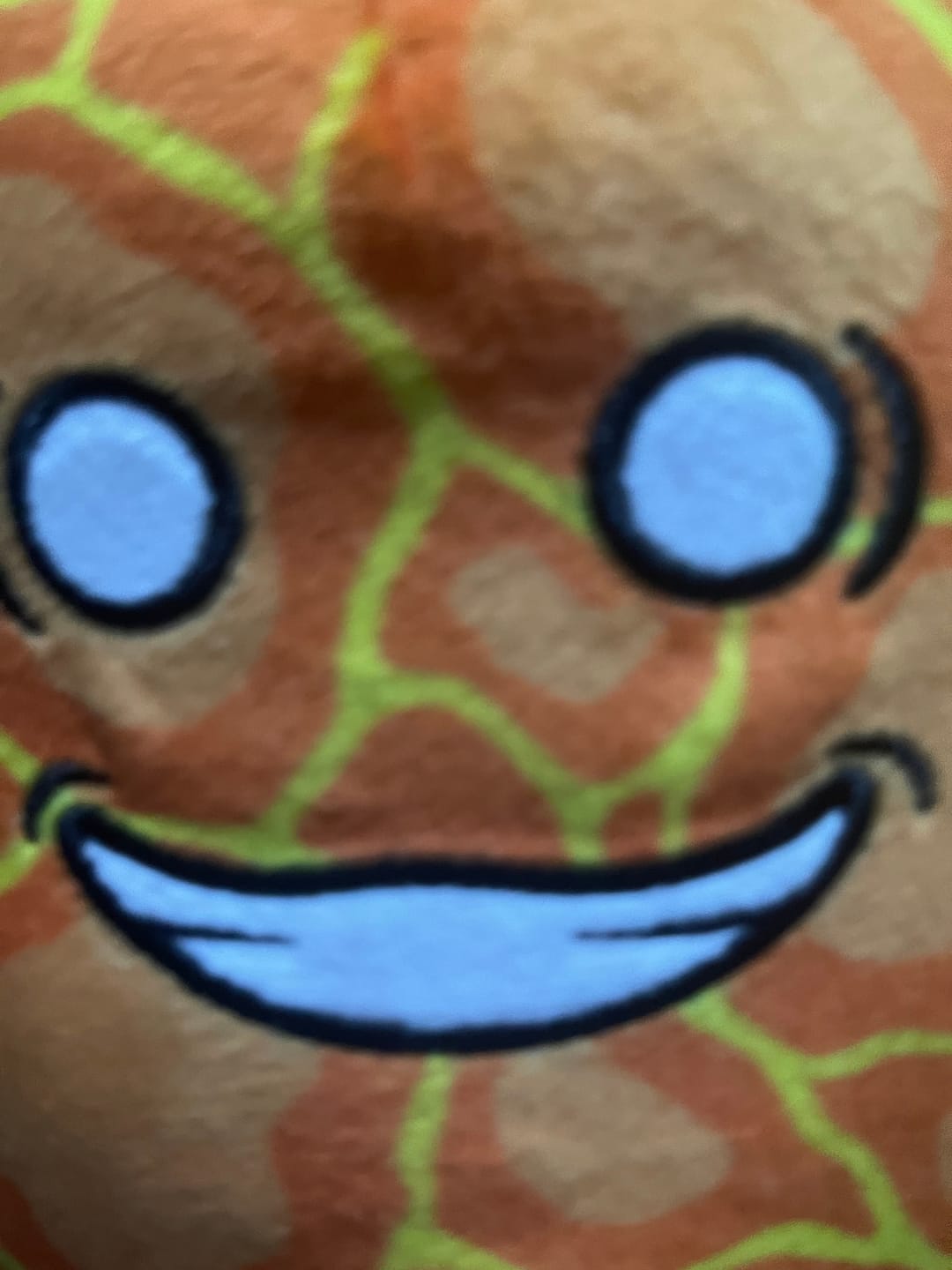 Customer photo review of The SolarBalls Sun Plush