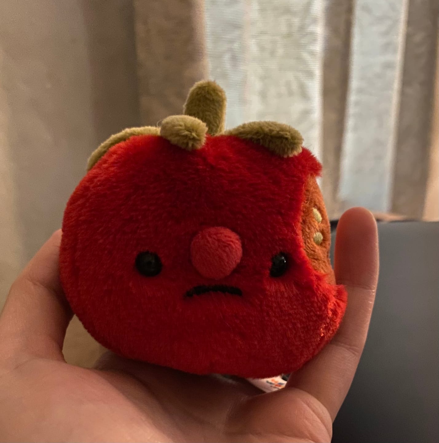Customer photo review of Forgotten Bitten Tomato