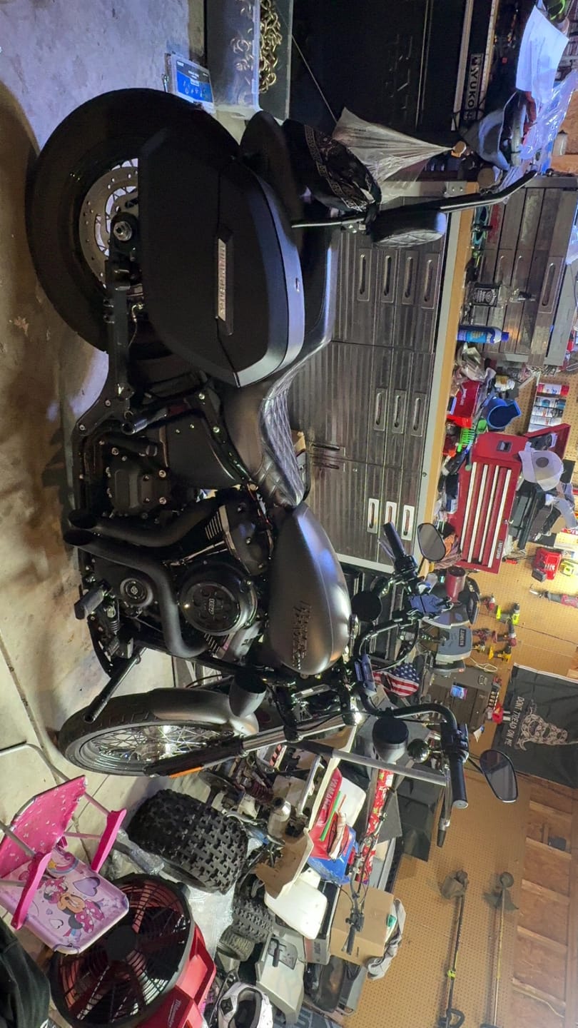 Customer photo review of 32L - Darkin Large Quick Mount Leather Wrapped Hard Saddlebags for Harley Softail Street Bob FXBB/S