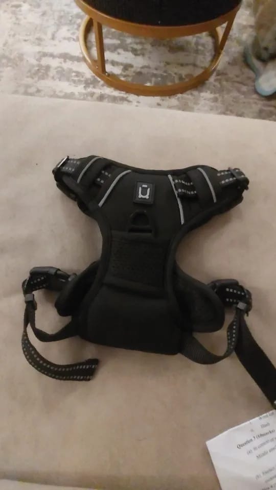 Customer photo review of TruePet Anti-Zug Hundegeschirr | No-Pull mit Front-D-Ring (Zinklegierung) | Air-Mesh Gepolstert | Reflektierend | 9 Farben | S-XL