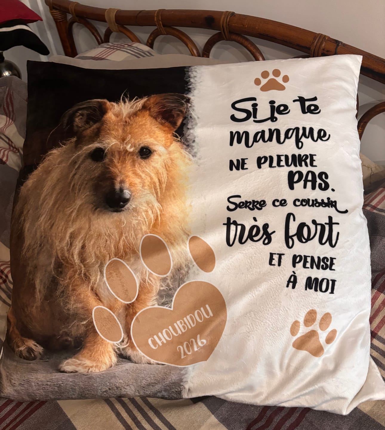 Customer photo review of Si je te manque - Coussin personnalisé