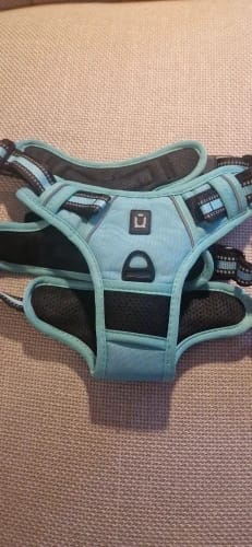 Customer photo review of TruePet Anti-Zug Hundegeschirr | No-Pull mit Front-D-Ring (Zinklegierung) | Air-Mesh Gepolstert | Reflektierend | 9 Farben | S-XL
