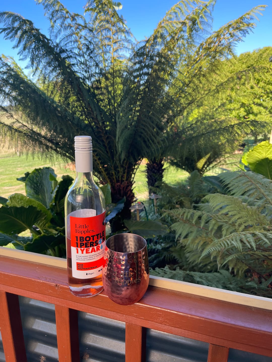 Customer photo review of Hammered Copper Wine Mug GWP