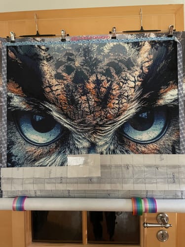 Customer photo review of 5D Diamond Painting – Mystische Eule im Nebelwald