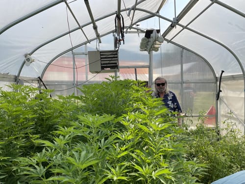 Customer photo review of Zour Stash Berry Blast HashHole