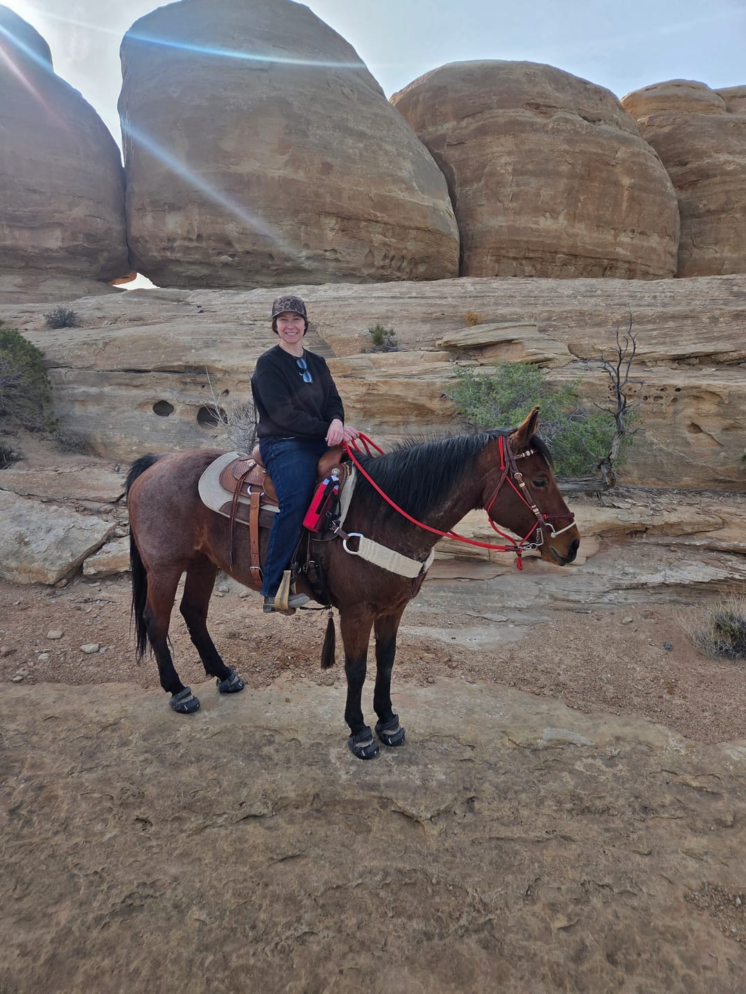 Customer photo review of Renegade® Viper Shield™ Hoof Boot Seconds - Black Knight