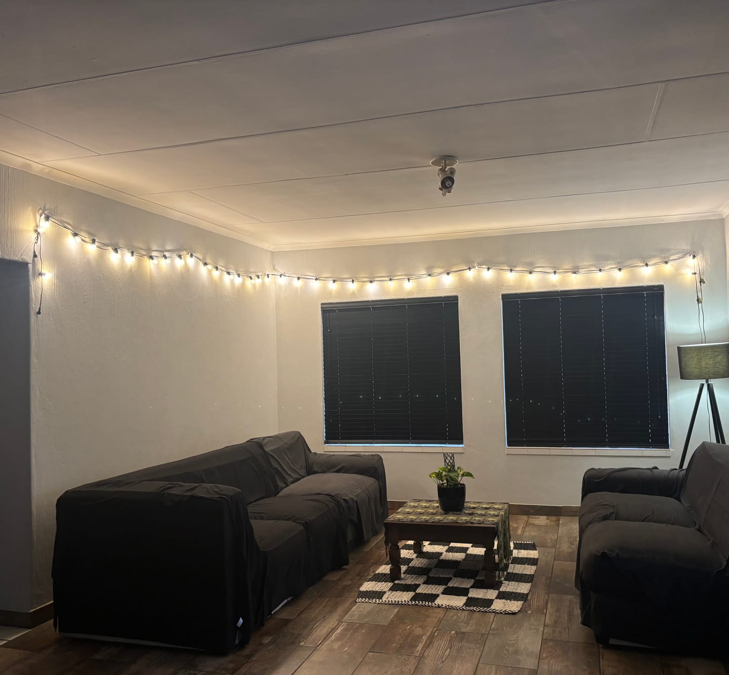 Customer photo review of Plug-In Mini Bulb String Lights