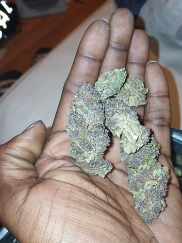 Customer photo review of Tropicana Cherry THCA Flower