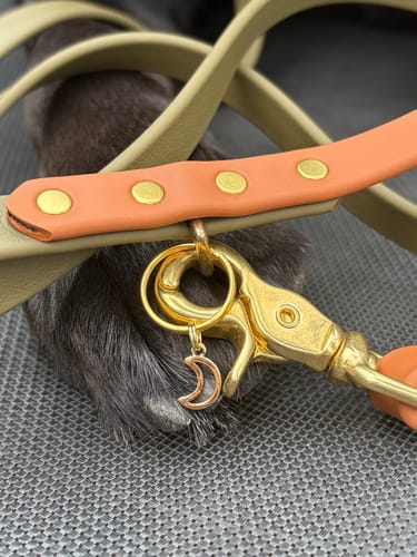 Customer photo review of Moss - Classic Biothane Dog Leash