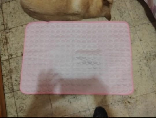 Customer photo review of TruePet Kühlmatte für Hunde & Katzen | Selbstkühlend ohne Strom | XS bis 2XL