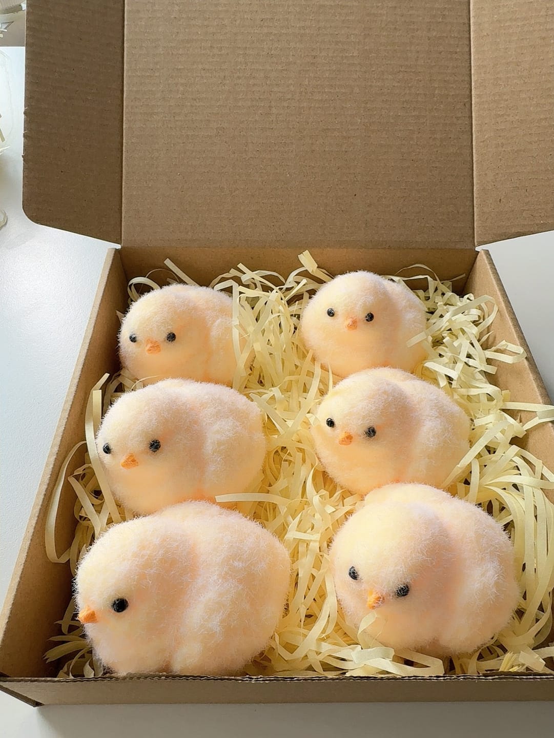Customer photo review of Chubby Chick Squishy