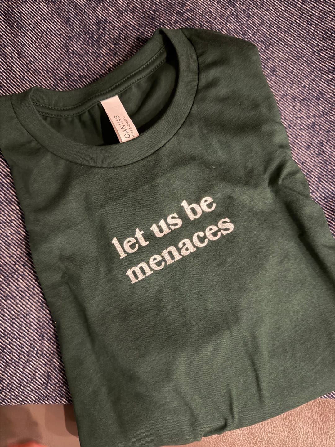 Customer photo review of Let us be menaces Shirt | Fourth Wing Onyx Storm Merch