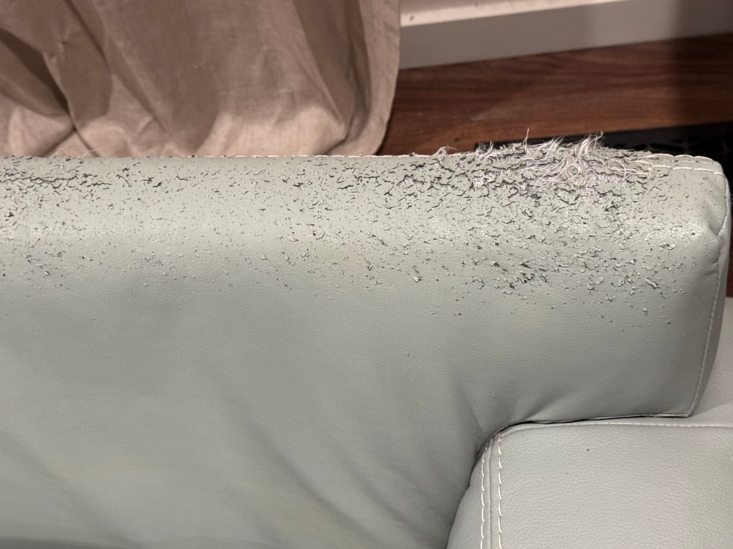 Customer photo review of Multifunctional Cat Scratching Carpet.