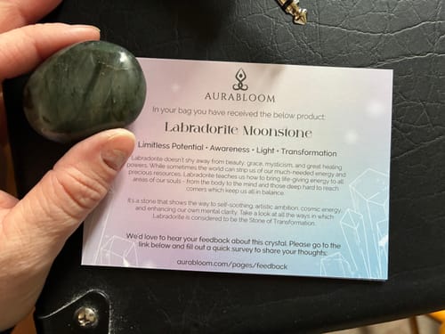 Customer holding a polished, dark green Labradorite Moonstone palm stone next to its description card.