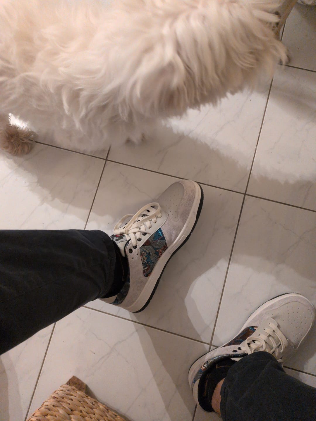 Customer photo review of Dunhuang Mythos Sneakers