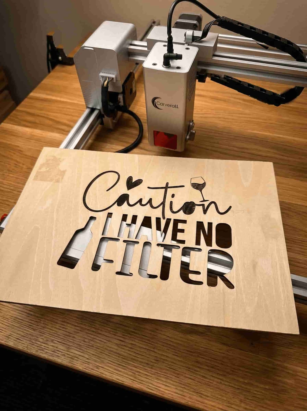 Customer photo review of Carverall X1Pro 20W Diode Laser Engraver | Model JL9_Work Area 300*300mm