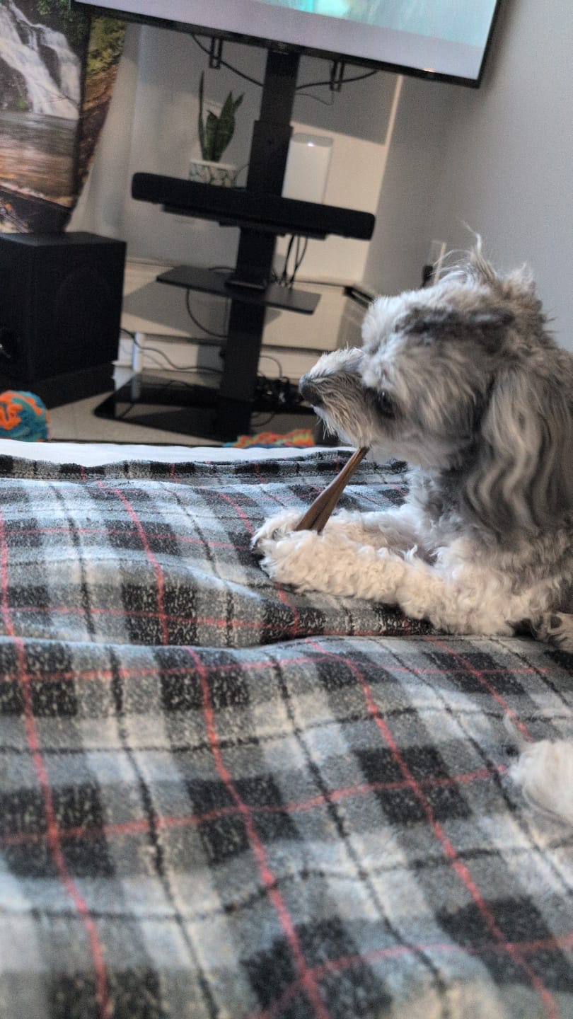 Customer photo review of Trail Mix