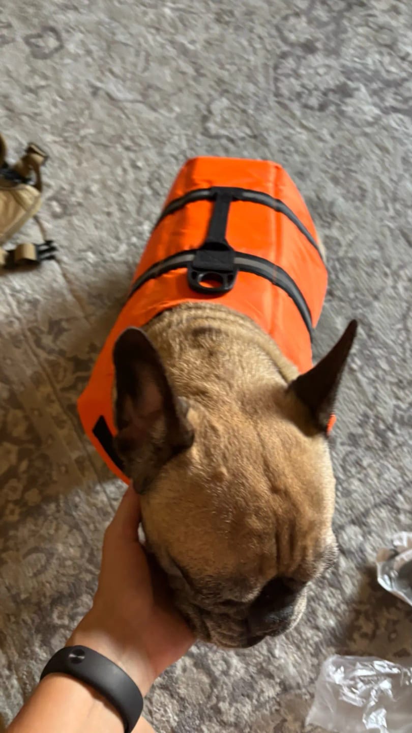 Customer photo review of TruePet Hunde-Schwimmweste mit Rettungsgriff | Reflektierend | Verstellbar | XXS-XXL