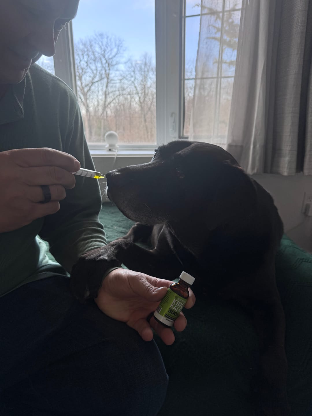 Customer photo review of KING KALM CBD 300mg - Large Pet Formula 45 to 65lbs