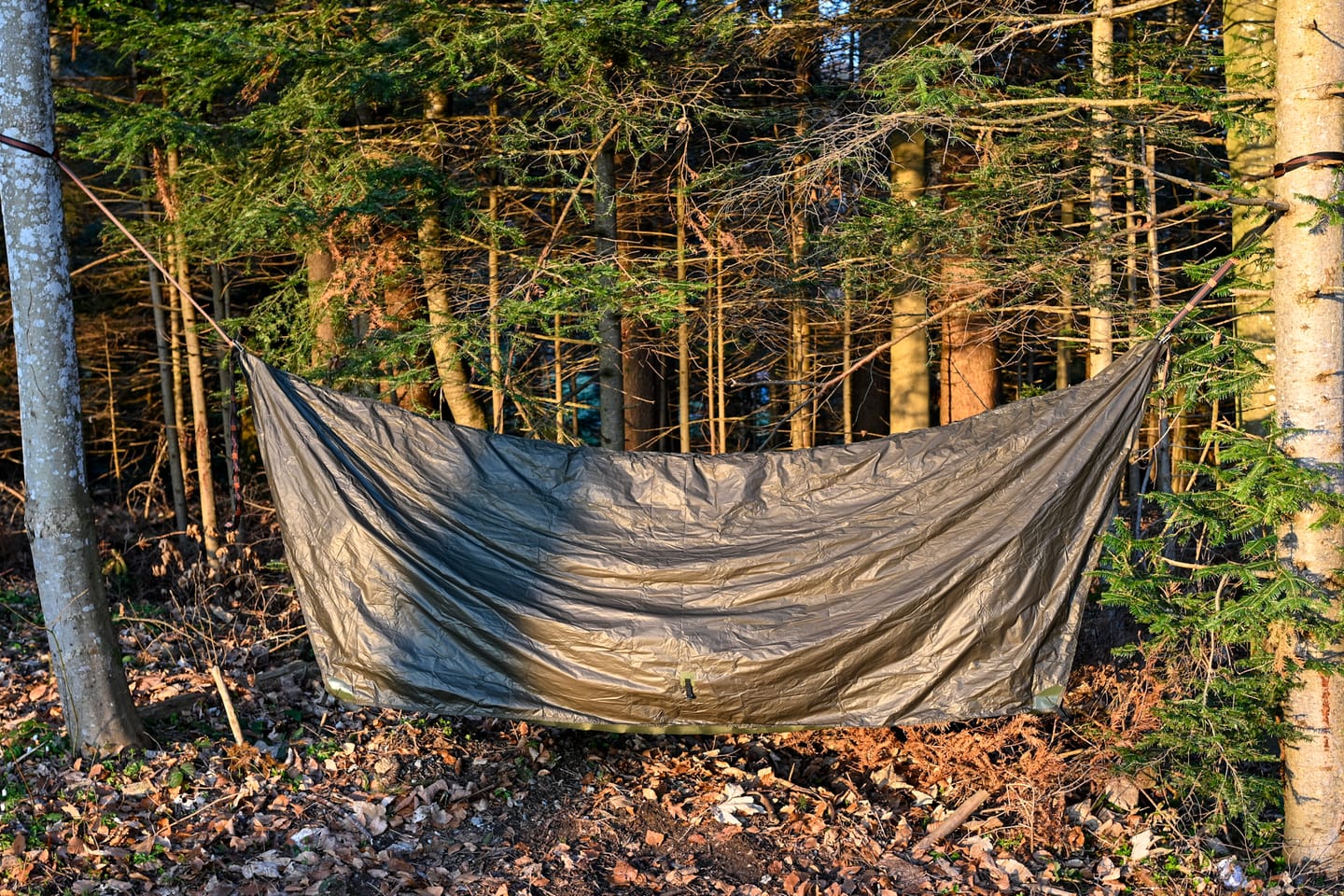 Customer photo review of Haven Tent Rainfly