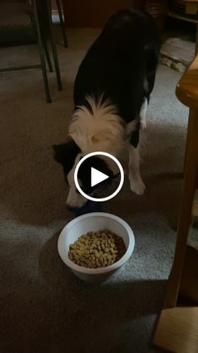 Customer video review of FreezBall Bundle  - Starter Pack