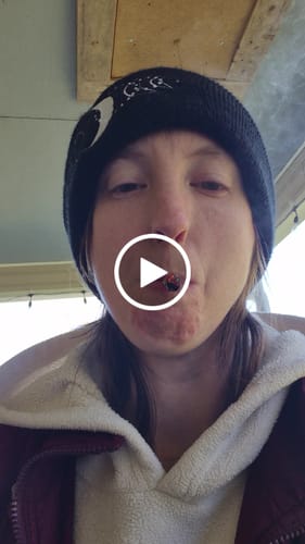 Customer video review of THCA BLUEBERRY MUFFIN DONUTS