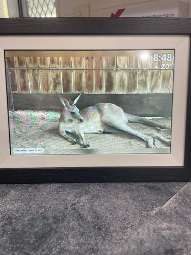 Customer photo review of Digital Photo Frame