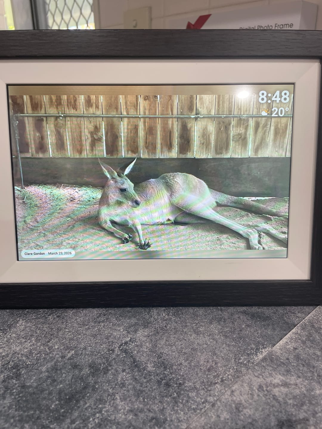 Customer photo review of Digital Photo Frame