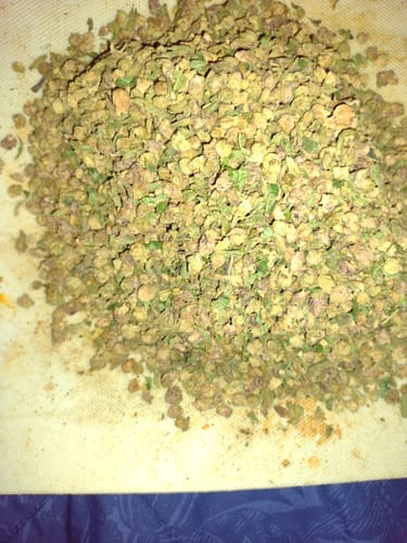 Customer photo review of Hash Plant THCA Kief Trim