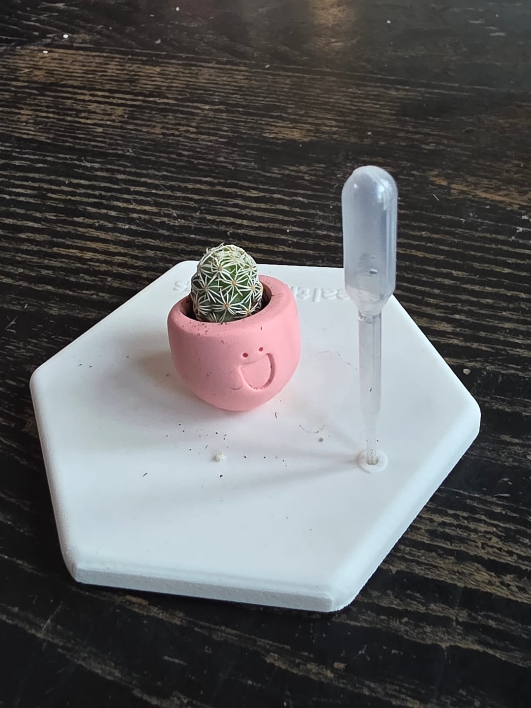 Customer photo review of LOL