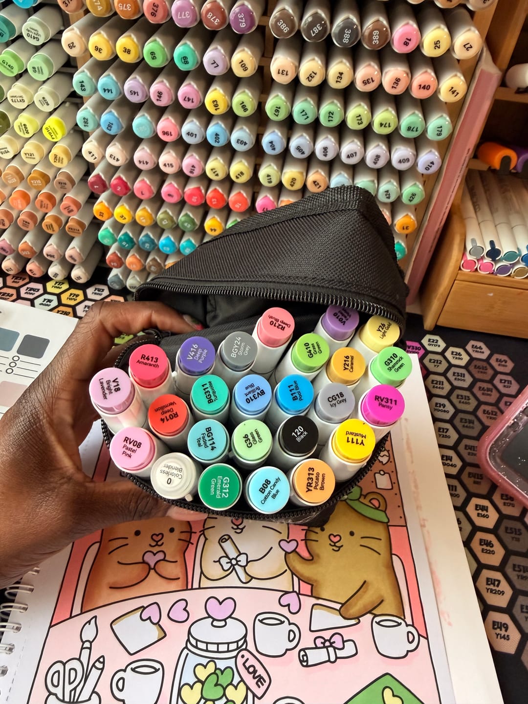 Customer photo review of Ohuhu Honolulu 24 Basic Colors Dual Tips Alcohol Art Markers