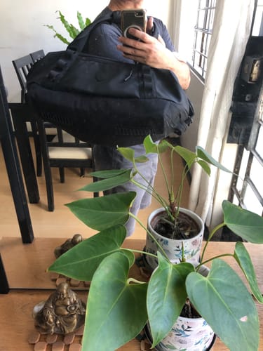 Customer photo review of Prestige Gym Bag