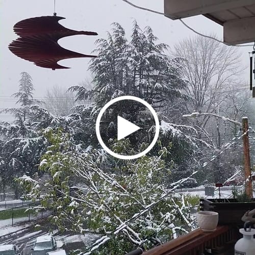 Customer video review of Temperature Controlling Comforter