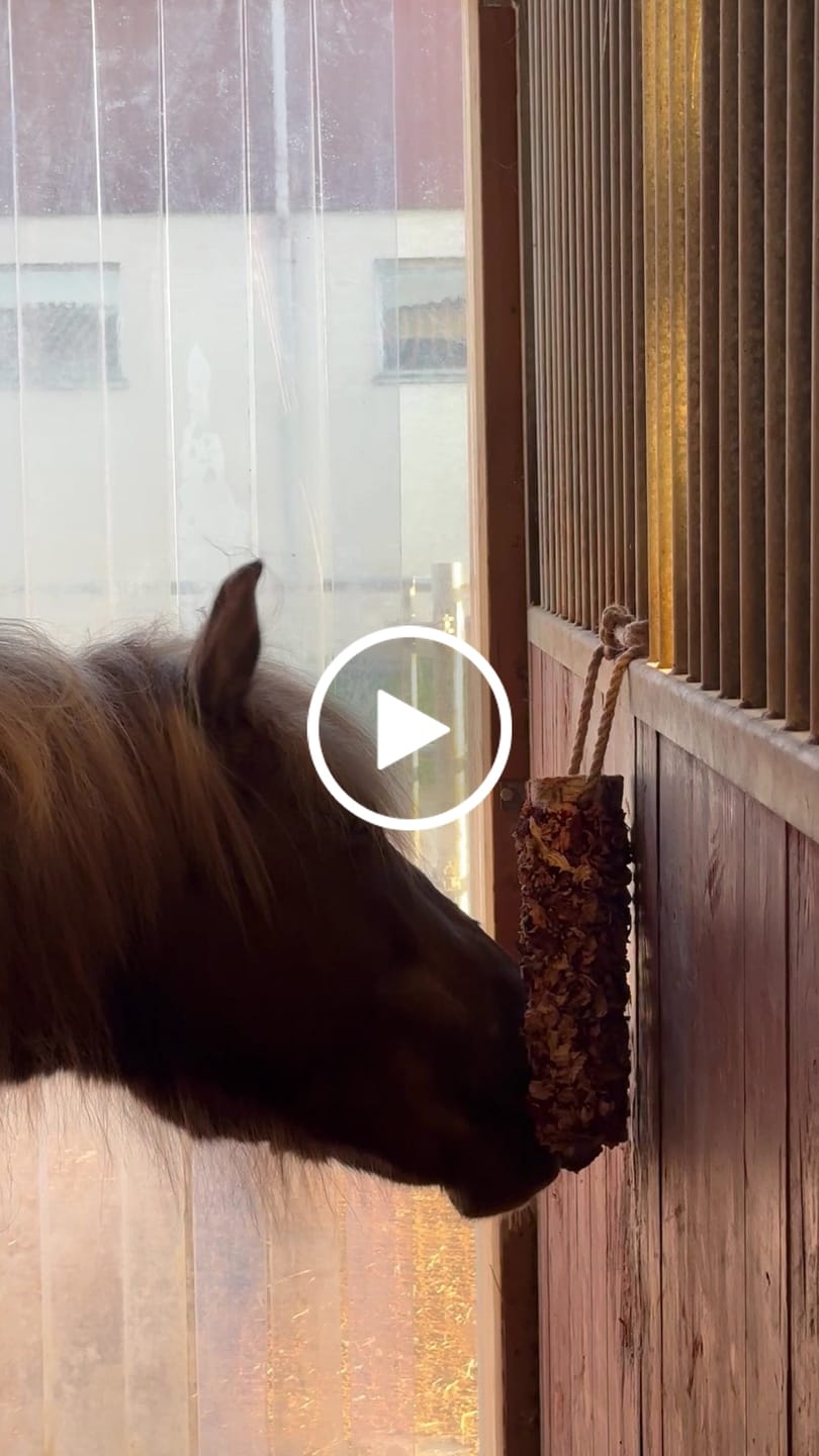 Customer video review of Knusperholz - limitiert! Der natürliche Knabberspaß für dein Pferd