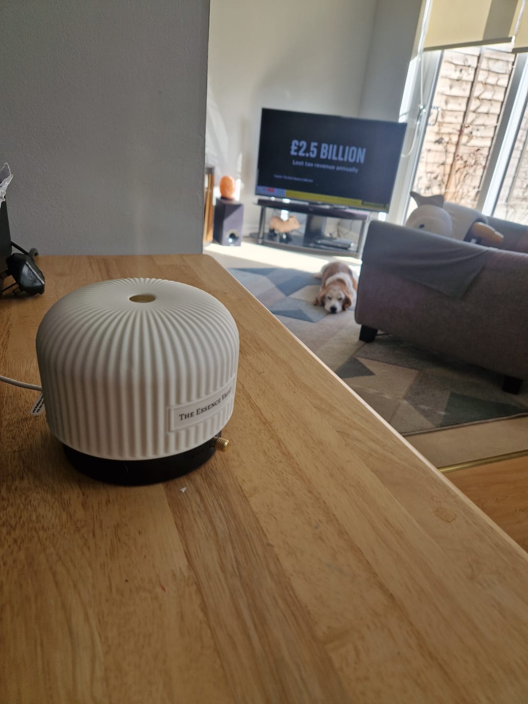 Customer photo review of Ceramic Electric Diffuser