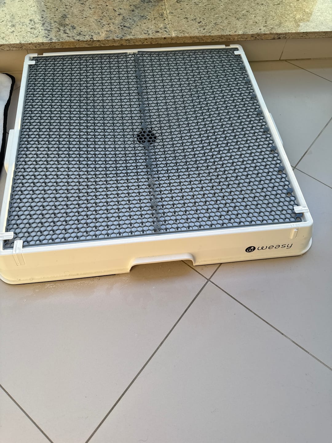 Customer photo review of Weasy Cão | Banheiro inteligente para cachorro