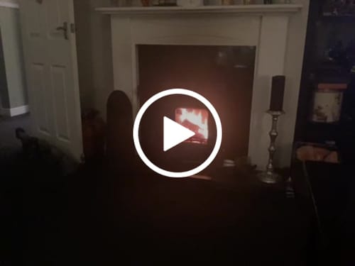 Customer video review of Oak Bulk Bundle