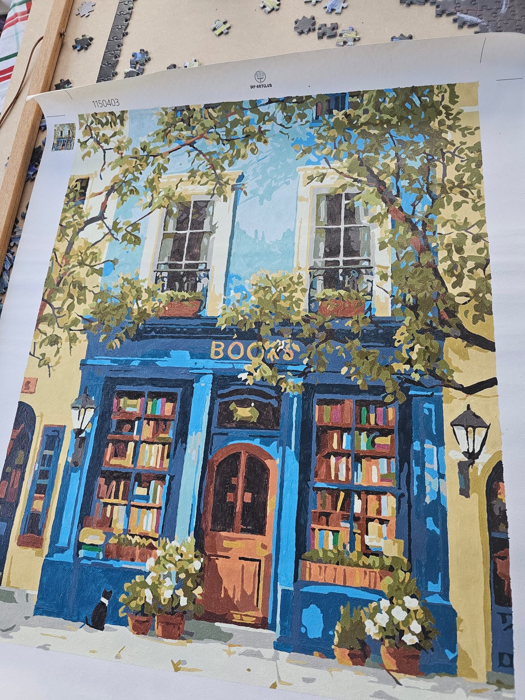 Customer photo review of The Blue Bookshop | Paint by Number