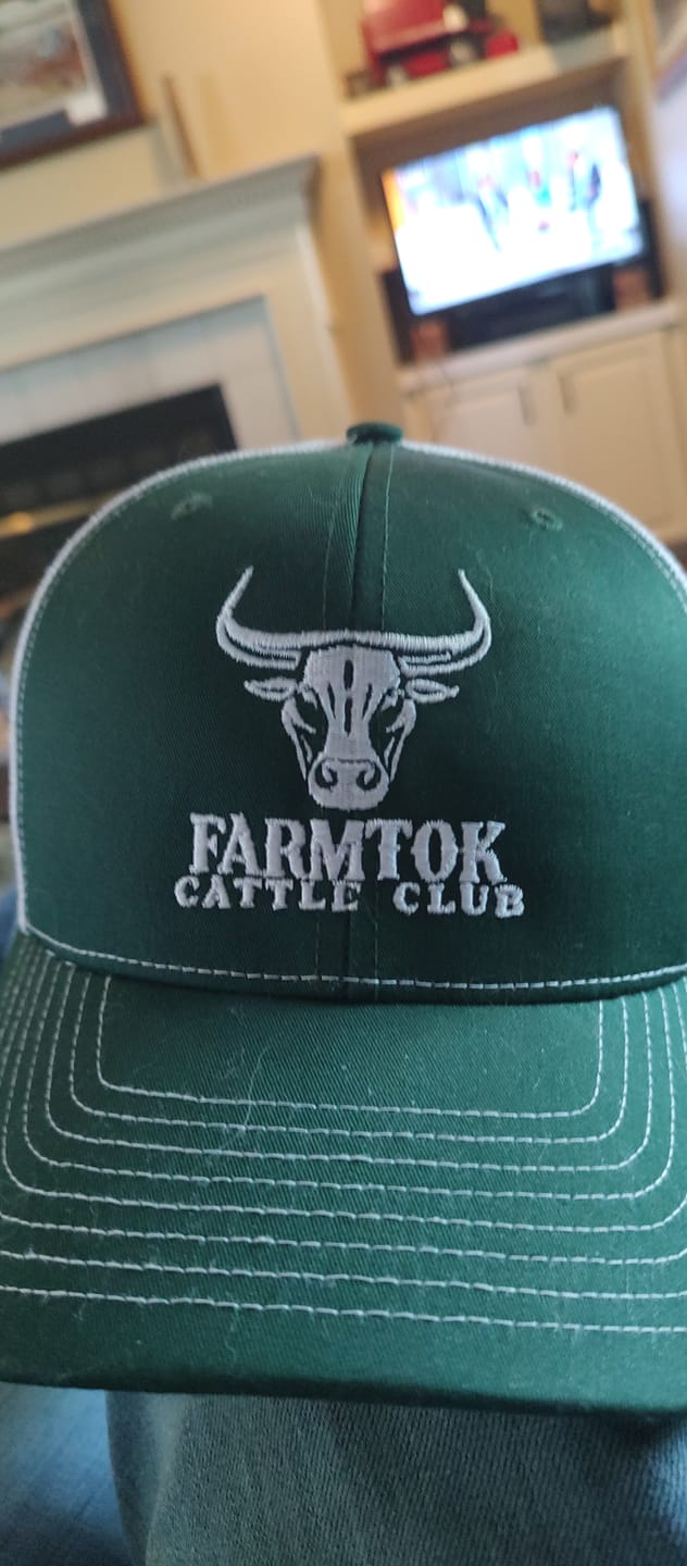 Customer photo review of Embroidery Digitizing Logo Set-Up