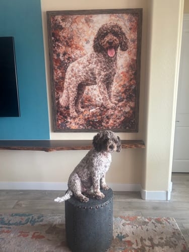 Customer photo review of Custom Pet Portrait - Abstract Style