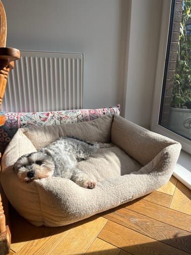 Customer photo review of The Cosy Bed