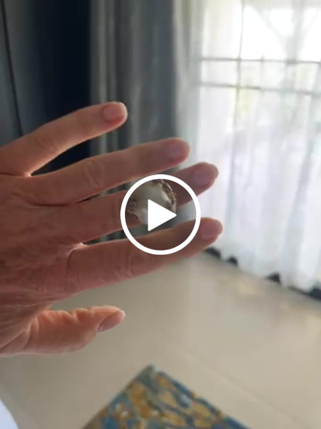 Customer video review of Wildflower Pearl Crown Ring