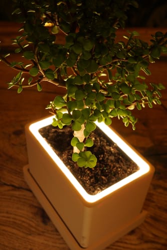 Customer photo review of Retro Table LED Planter - Luna White