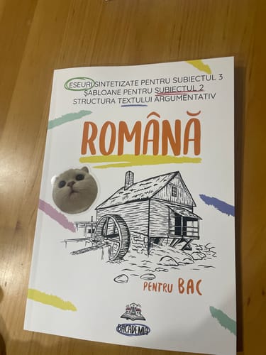 Recenzie cu fotografie de la un client despre Carte Română Bacalaureat Bacademia (temă și viziune, caracterizare, relație) - Ediția II