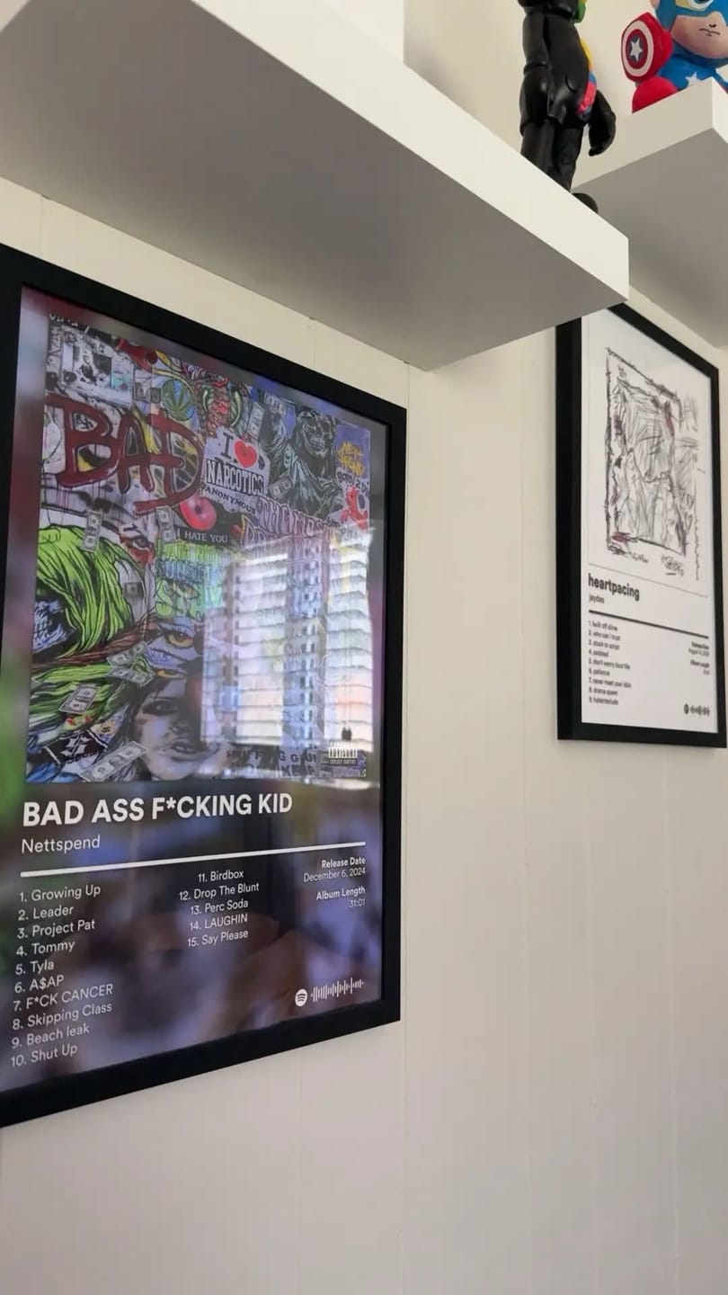 Customer photo review of Nettspend Album Posters