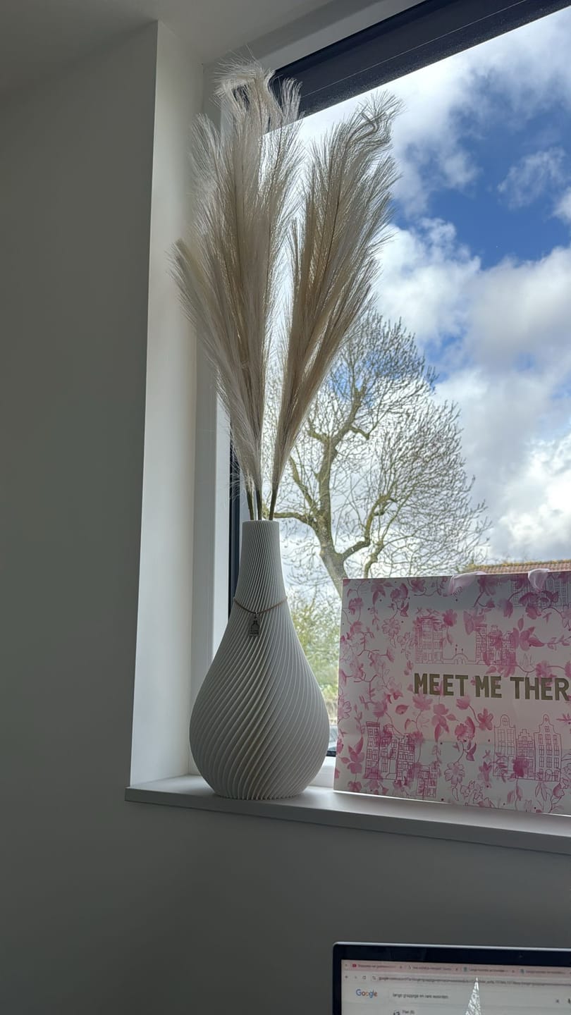 Customer photo review of Pampas 110cm (3 stengels)- Beige