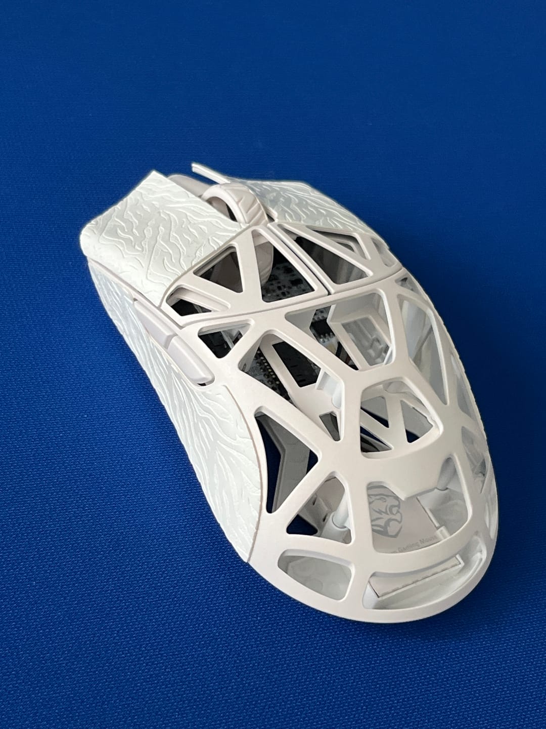 Customer photo review of WLMouse Beast X Pro Magnezyum Wireless Mouse