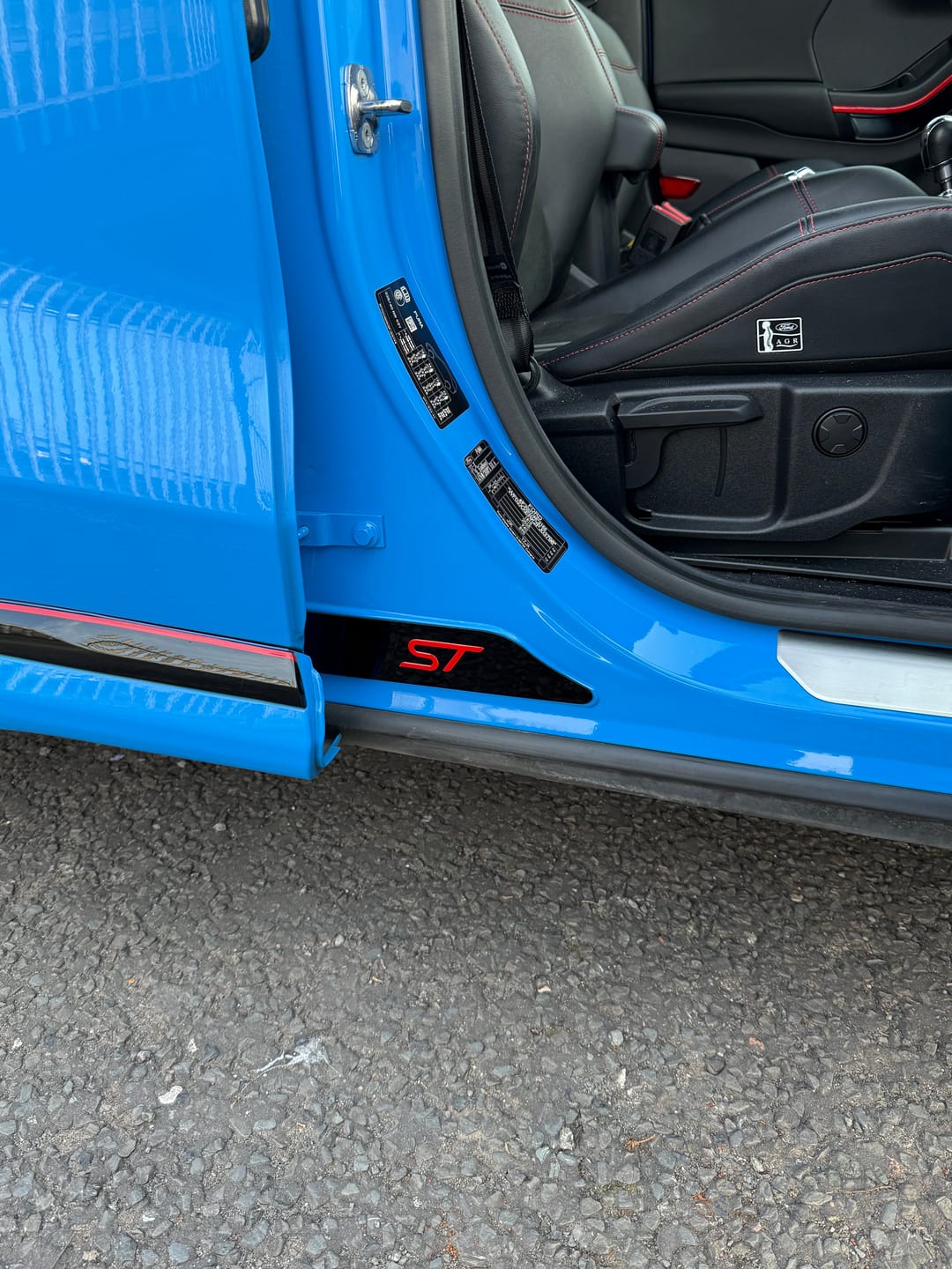 Customer photo review of Mk2/2.5 Puma Door Sill Plates