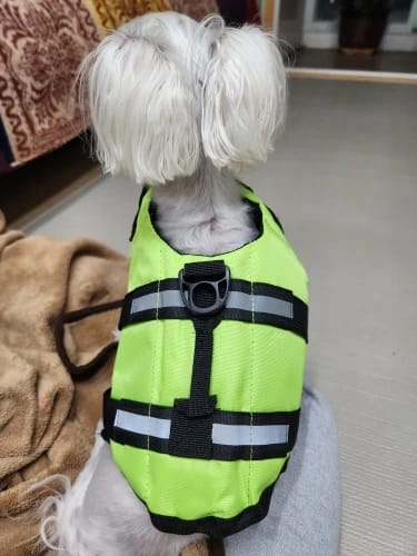 Customer photo review of TruePet Hunde-Schwimmweste mit Rettungsgriff | Reflektierend | Verstellbar | XXS-XXL